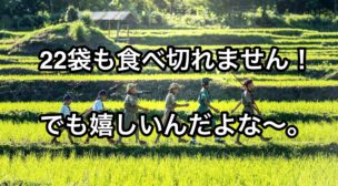 ネスカフェ定期お届け便